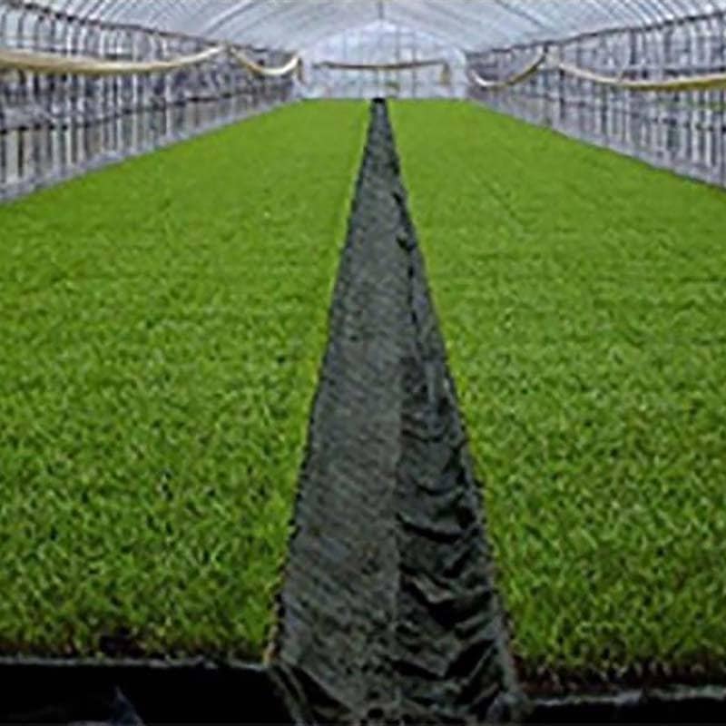 TKプールシート プール育苗 専用 遮水シート 黒 厚み0.15mm×幅460cm×長さ55m 38kg プールシート 育苗 水稲 苗 東京インキ タS 代引不可 個人宅配送不可