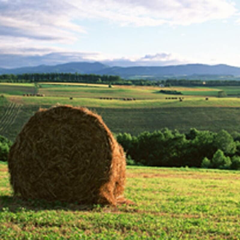 【2巻】荷造紐白PPベーラートワイン5.0kg4500F荷物の荷造り梱包紐ロープ信越工業【代引不可】