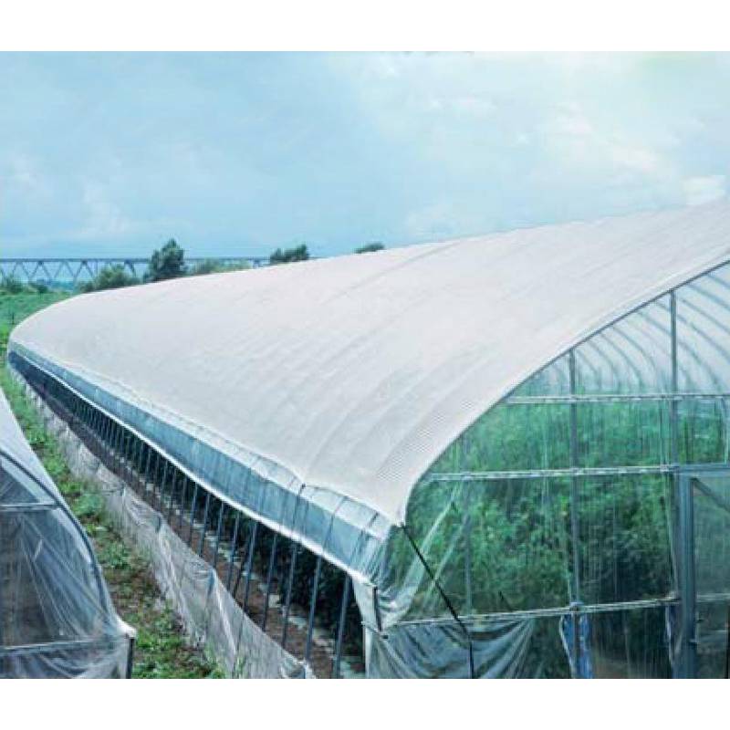 2m×100m 白 遮光率約75％ タキイホワイトTW 遮光ネット TW75 寒冷紗 タキイ種苗 代引不可