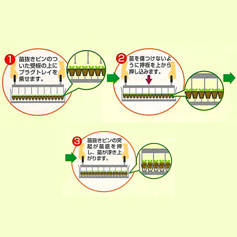 プラスワイズ本店｜ディスローダー タキイ 根巻防止M型トレイ 200穴
