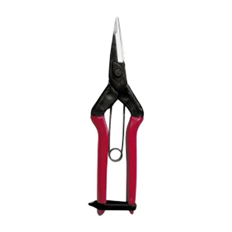 近正 大型摘果鋏 刃先薄刃 T-601K 福KD