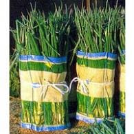 50枚 マキマキ 長ネギ・枝豆 用 収穫 用巻きネット 60×125cm 宇部エクシモ タS 代引不可