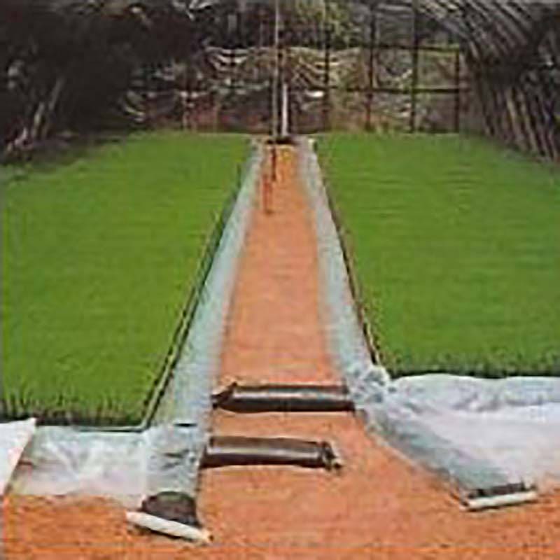 ぷーるっこ 育苗プールシート (Bタイプ シート2枚) 育苗箱160箱用 カ施D