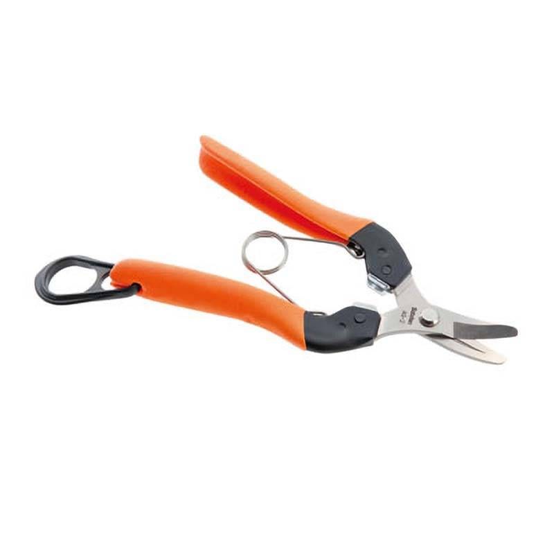 採果鋏 No.AG-2 曲刃 採果 収穫 鋏 はさみ ハサミ 園芸 ガーデニング 農業 みかん 柿 梨 トマト サボテン カSD