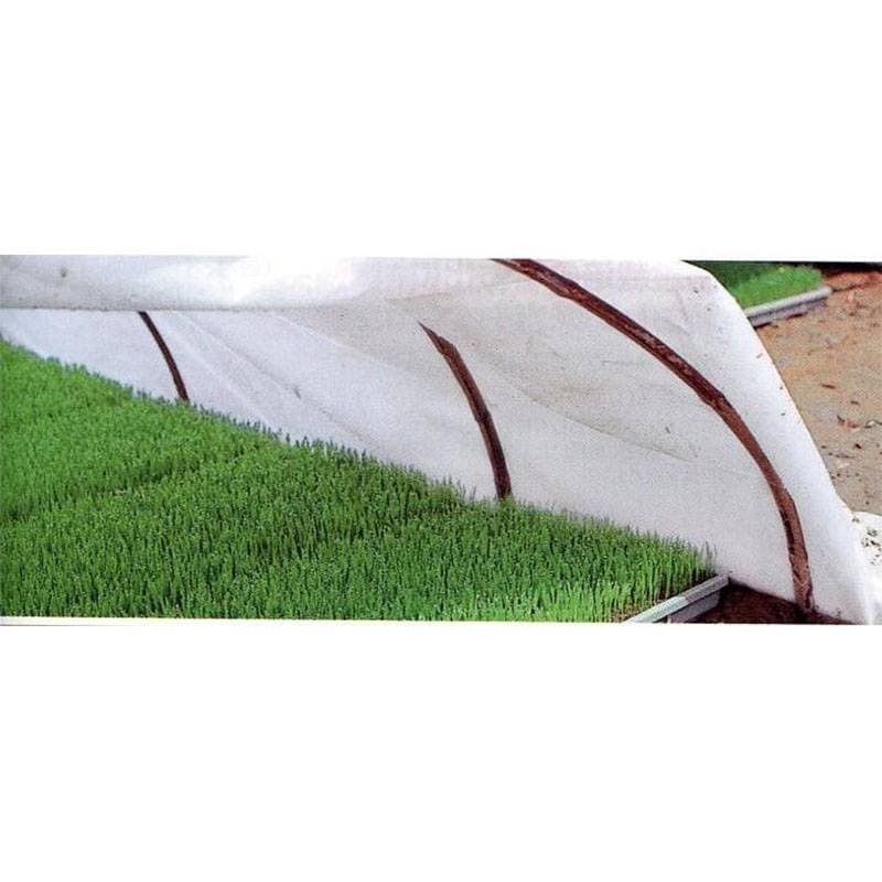 健苗シート 幅210cm×長さ50m 低発泡PEシート 水稲育苗用保温シート 積水フィルム 日A D