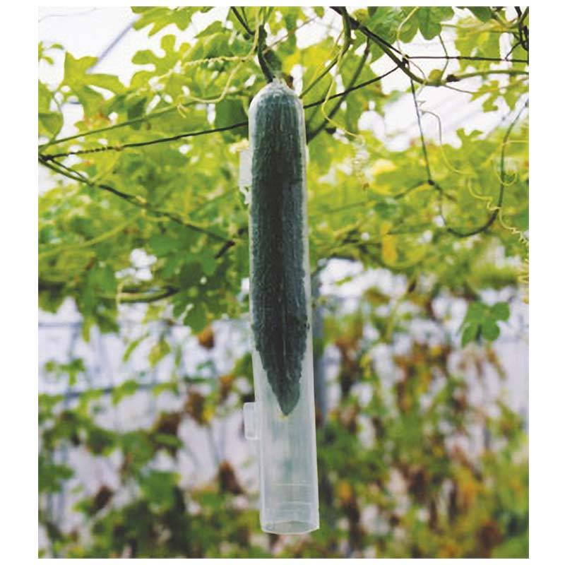 スマート きゅうり用 曲がり解消 農薬から保護 ワンタッチ式 キュウリ 胡瓜 ナスニックス タS 代引不可