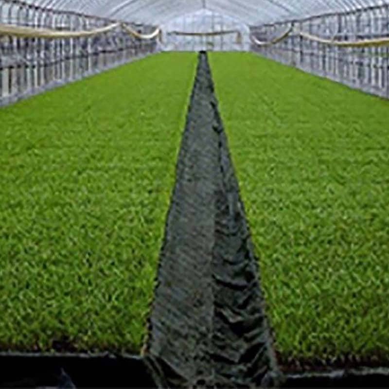 TKプールシート プール育苗専用 遮水シート 黒 厚み0.15mm×幅330cm×長さ55m 27.2kg プールシート 育苗 水稲 苗 東京インキ タS 代引不可 個人宅配送不可