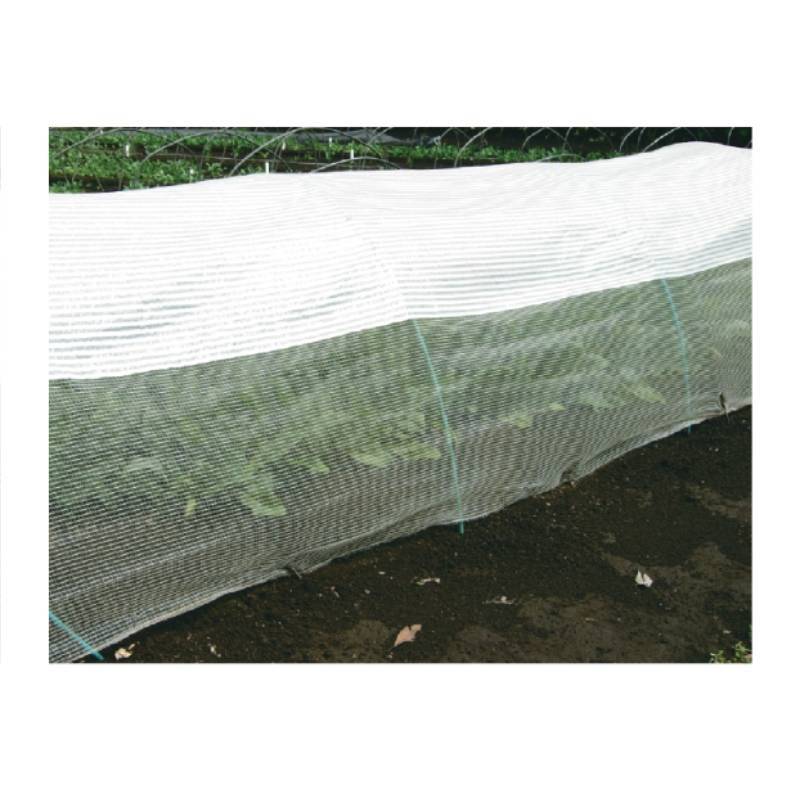 夏用トンネル資材 モヒカンネット 6本 サカタのタネ 1.8m 遮熱 雨よけ 通気性 メッシュ 散乱光効果 ホウレンソウ 園芸 農業 農園 個人宅配送不可 代引不可