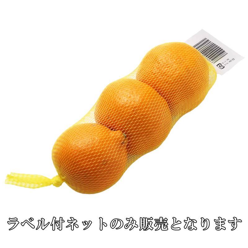 トップラベル付ネット 無地ラベル 20cm 10000本 袋状ネット 農産 出荷資材 軽包装 重包装 野菜 玉ねぎ にんにく 田村産業 個人宅配送不可 代引不可