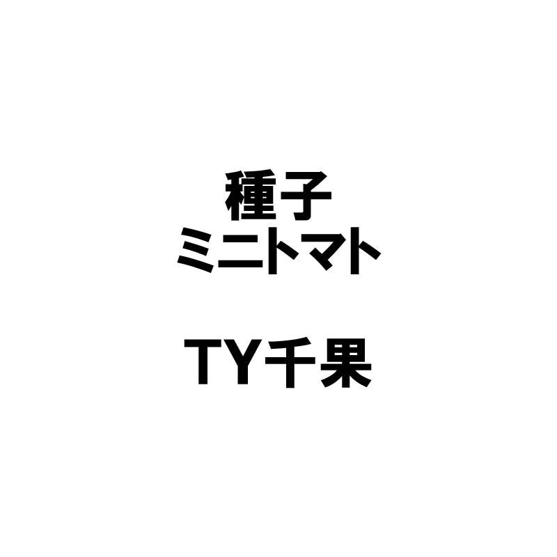 コート種子 1000粒 TY千果 ティーワイチカ ミニトマト 栽培用 タキイ種苗 米S 代引不可 (登録品種名：TTM106)