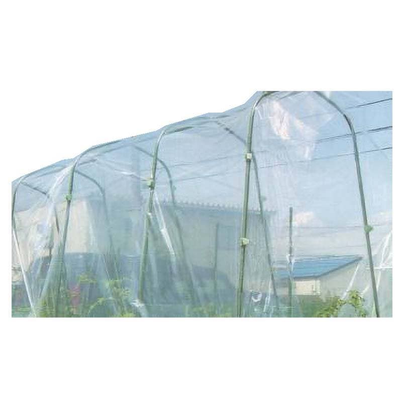 20枚 菜園用 雨よけシート 0.05mm×3.0m×5m 雨除け シート 園芸 第一ビニール 金TD