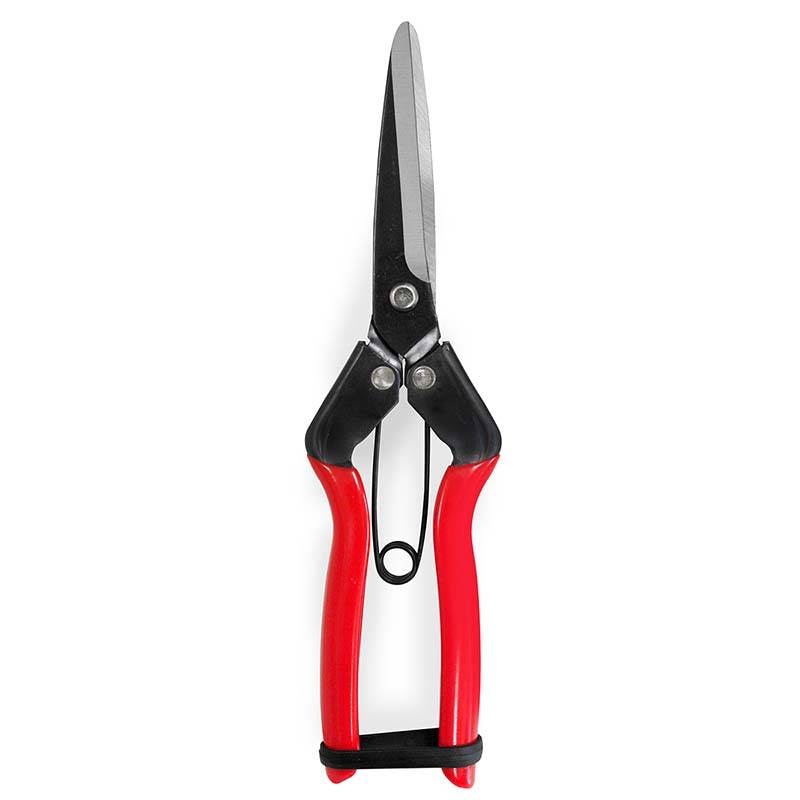 青果鋏 210mm No.SR-004 剪定 はさみ 鋏 ガーデニング 園芸 龍宝丸 高芝ギムネ 三冨D