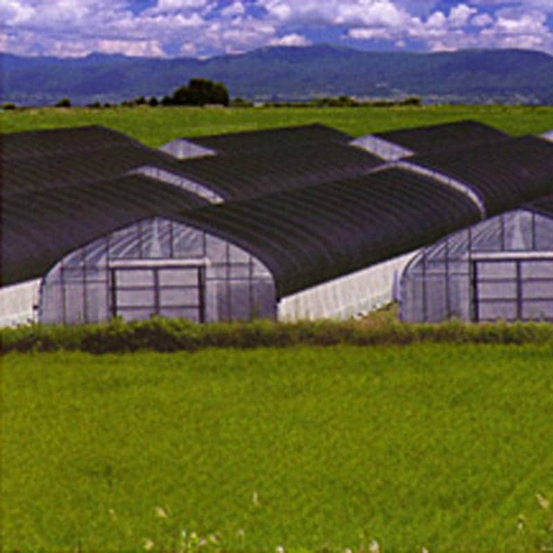 3m×50m 黒 遮光率95％ ワイドスクリーン 遮光ネット BK2012 寒冷紗 日本ワイドクロス タS 代引不可