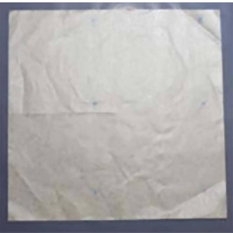 10000枚 果実袋 ぶどう ロー引 ブドウ傘 155×155mm 小房用 柴 タSD