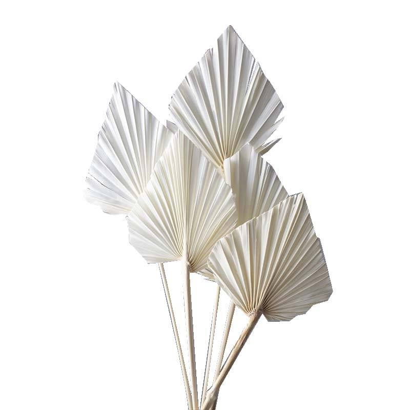 パームスペード オフホワイト 76-54060-11 ドライフラワー フラワーアレンジメント 花材 大地農園 松K 代引不可