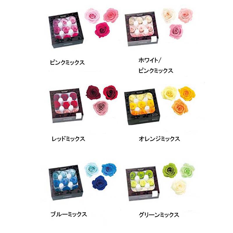 ローズ いずみ カラーアソート 9輪入 76-3484 プリザーブドフラワー プリザーブドローズ 花材 大地農園 松K 代引不可