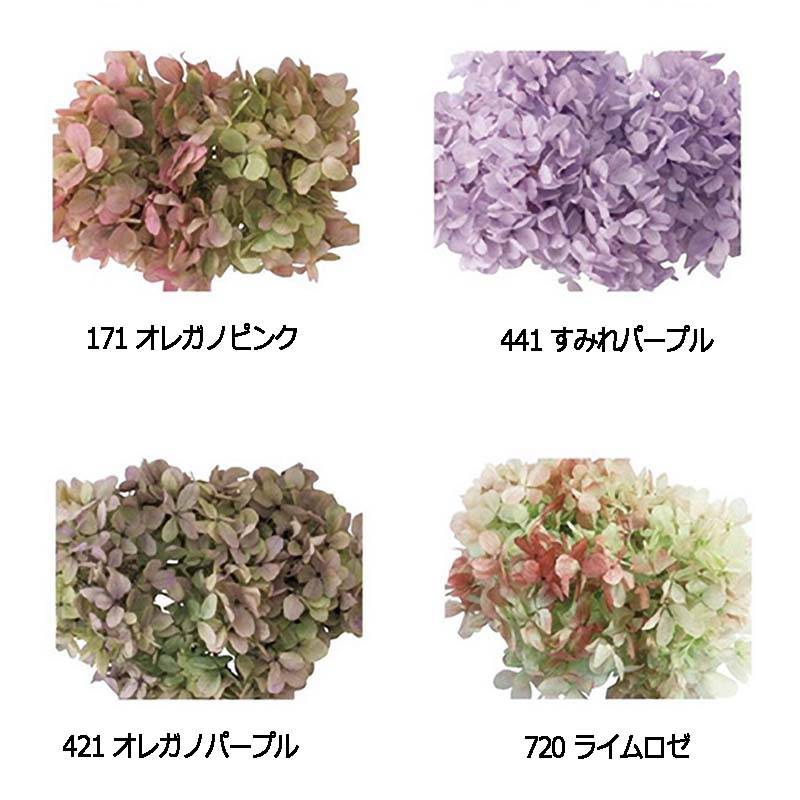 ソフトピラミッド アジサイ ヘッド 2輪入 76-1515 プリザーブドフラワー あじさい 紫陽花 花材 大地農園 松K 代引不可