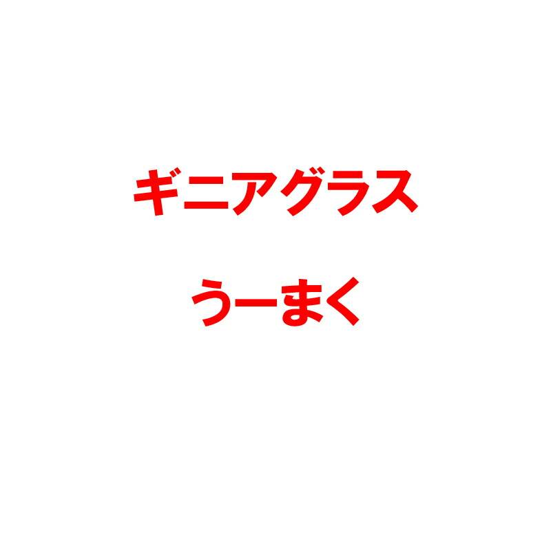 種 1kg PVP ギニアグラス うーまく 雪印種苗 米S 代引不可 (海外持出禁止 登録品種名: うーまく 農林水産省品種登録:第22050号)