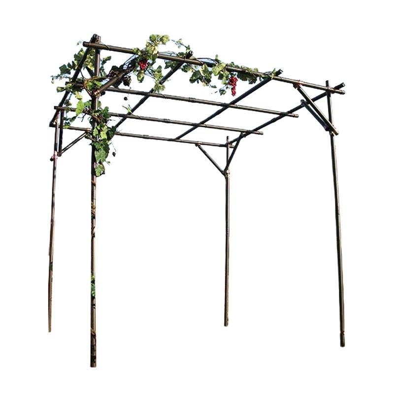 個人宅配送不可 ガーデンアグリパイプ 果樹棚セット 2m×2m ブラウン 第B 第一ビニール 代引不可