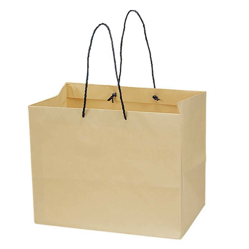 10枚 ペーパーバッグ BL 162-65922-0 紙袋 手提げ袋 ギフト 袋 花材 花資材 松K 代引不可