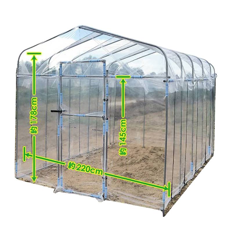 2坪 前後 ドア 付 2.2×3m ダイムハウス 入り口 扉 付 ビニールハウス 第一ビニール 第B DZ