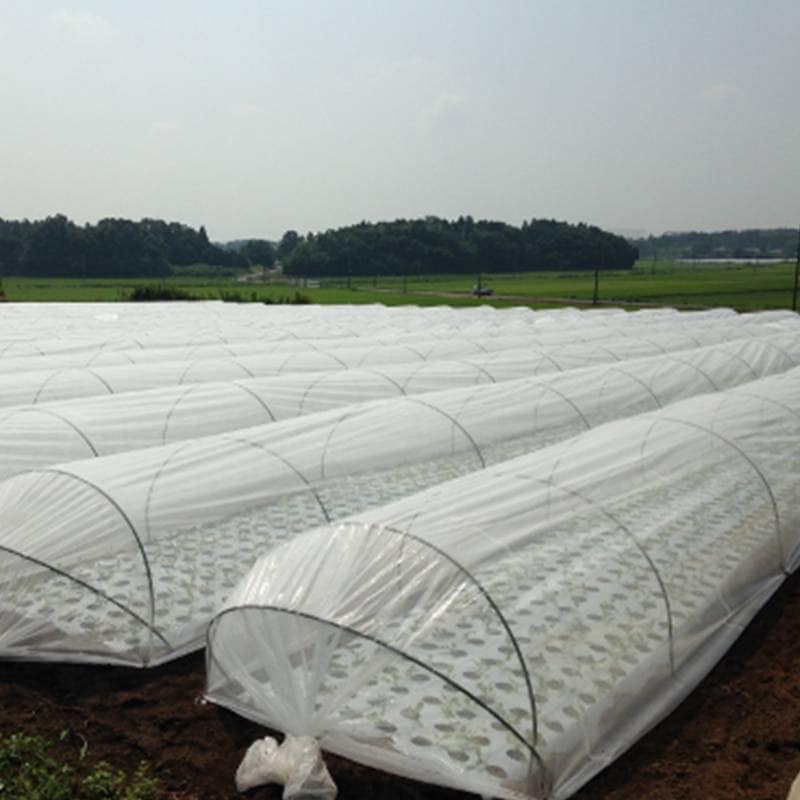 3000mm×100m 白 遮光率25％ ラウンドクール 遮光ネット 寒冷紗 JX ANCI タS 代引不可