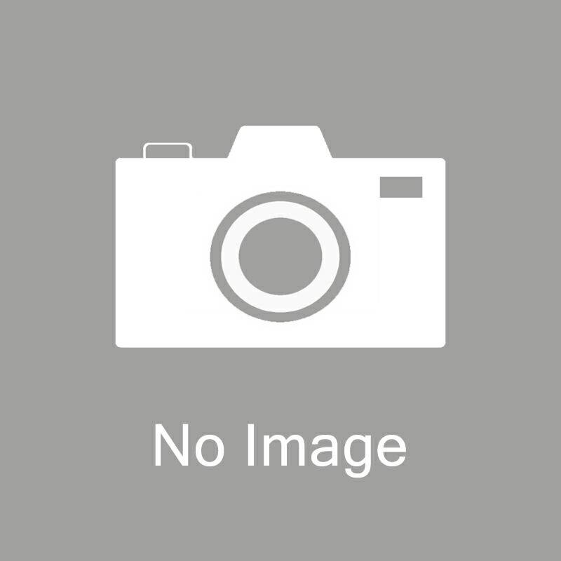 種 1kg トールフェスク フォーン 早生 放牧型 秋まき主体 寒地型牧草 酪農 畜産 牧草 緑肥 タキイ種苗 米S 代引不可 (登録品種名:フォーン)