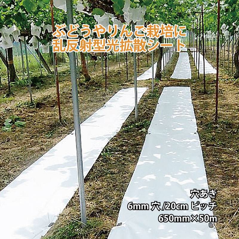 遮光ネット てるてる 有孔 650mm×50m 6mm穴 20cmピッチ 寒冷紗 穴あき 反射資材 シート JX ANCI 日新商事 サT 代引不可