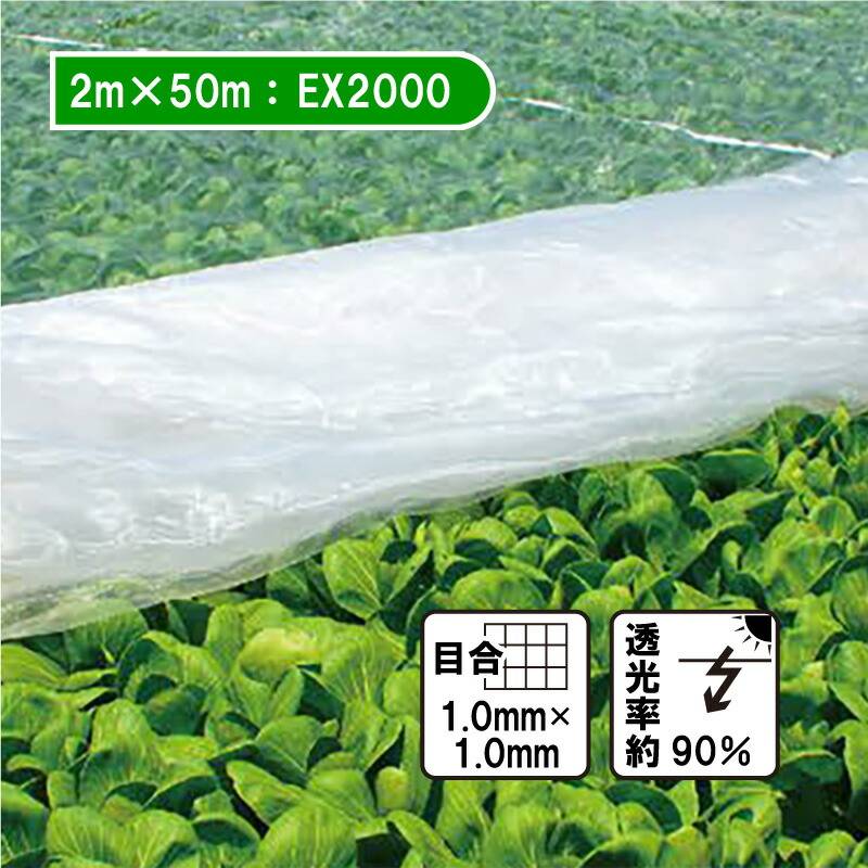 2m×50m ベタ掛け 防虫サンサンネット EX2000 台風対策 ゲリラ豪雨対策 防虫 防鳥 日本ワイドクロス カ施 個人宅配送不可 代引不可