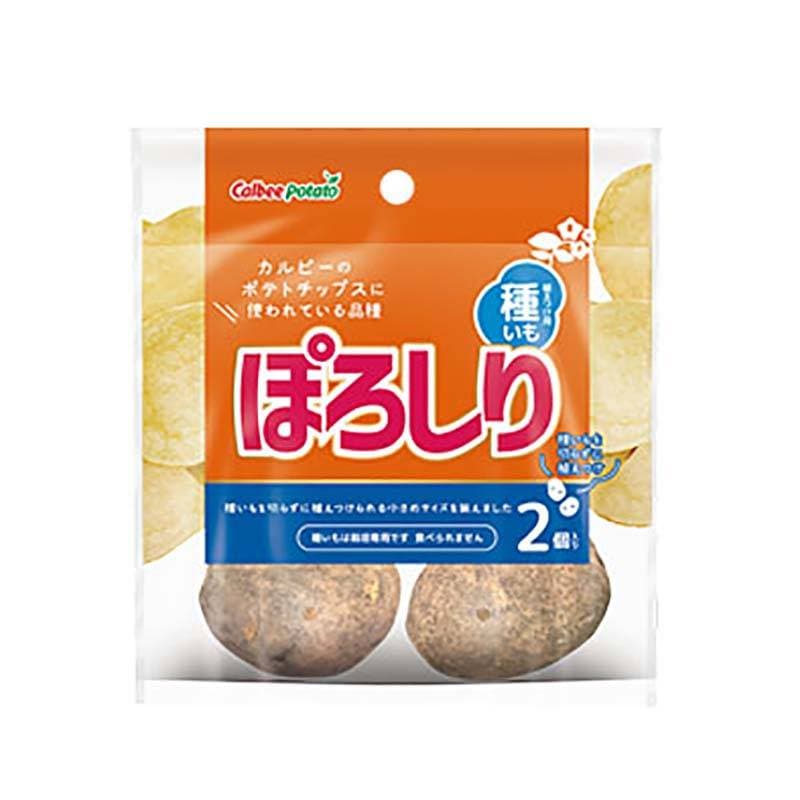 2球 栽培用種芋 ぽろしり カルビー ジャガイモ じゃがいも ポテト ポロシリ 2個 カ園 DZ  (登録品種名:ぽろしり)