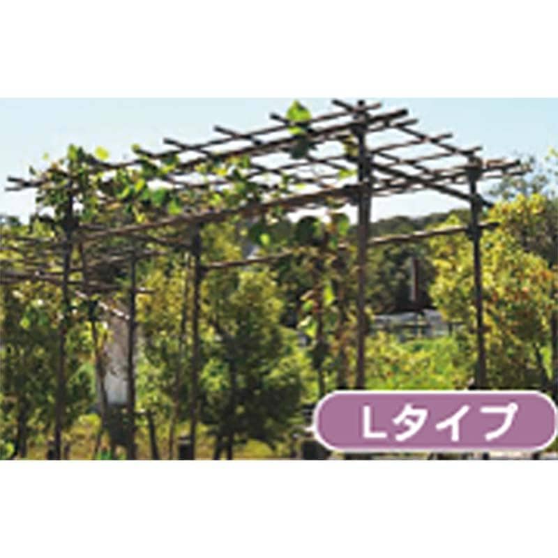 果樹棚 フルーツパーゴラ Lタイプ 積水樹脂 支柱 家庭菜園 栽培 果物 ぶどう ヘチマ 藤 つる性植物 サT 個人宅配送不可 代引不可