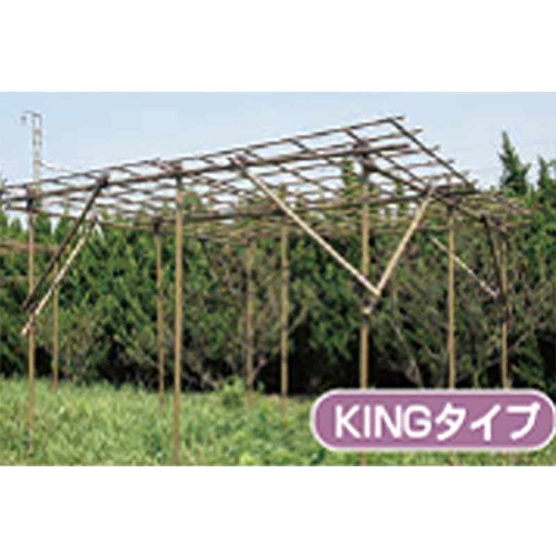 果樹棚 フルーツパーゴラ KINGタイプ 積水樹脂 支柱 家庭菜園 栽培 果物 ぶどう ヘチマ 藤 つる性植物 サT 個人宅配送不可 代引不可