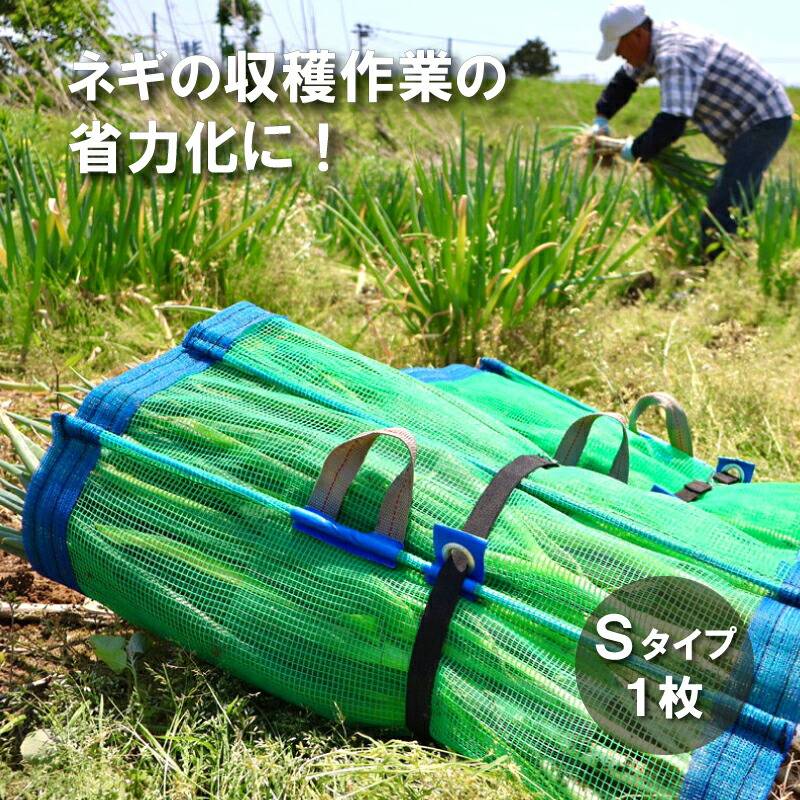 1枚 ネギマキネット Sタイプ 60cm×100cm ネギ 枝豆 花 収穫ネット ねぎ 葱 収穫 運搬 保管 ネギ巻き ねぎまき ねぎ巻き ネット シート 日本マタイ DZ