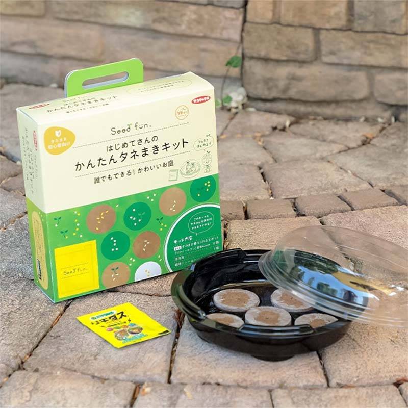 はじめてさんの かんたんタネまきキット 栽培セット 初心者向けキット Seed fun サカタのタネ D