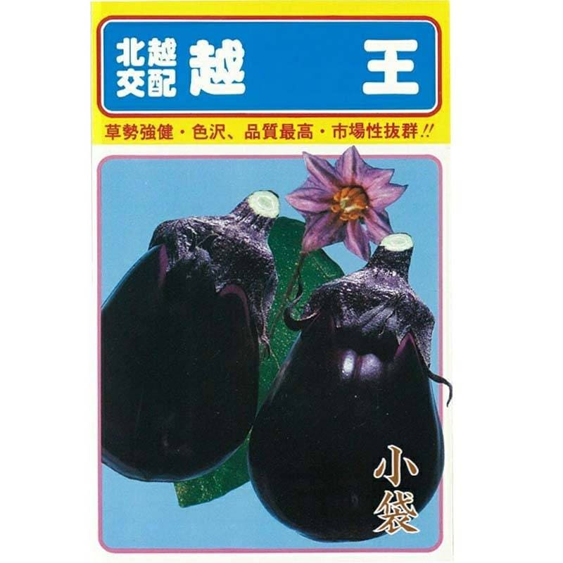 種子 0.6ml ナス 越王 小袋 こしおう 北越交配 栽培用 野菜タネ 野菜種子 野菜のタネ なす 茄子 北越農事 D