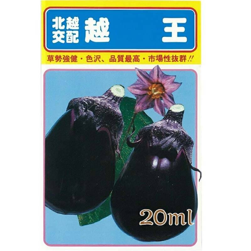 種子 20ml ナス 越王 小袋 こしおう 北越交配 栽培用 野菜タネ 野菜種子 野菜のタネ なす 茄子 北越農事 D