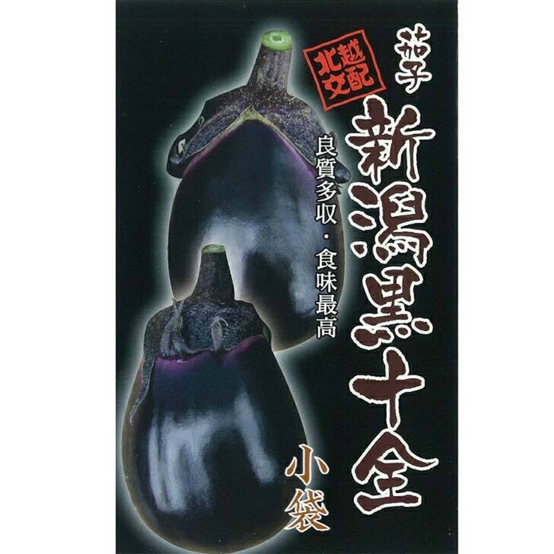 種子 0.6ml ナス 新潟黒十全 小袋 北越交配 栽培用 野菜タネ 野菜種子 野菜のタネ なす 茄子 北越農事 D