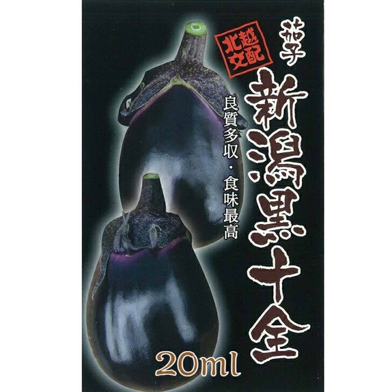 種子 20ml ナス 新潟黒十全 北越交配 栽培用 野菜タネ 野菜種子 野菜のタネ なす 茄子 北越農事 D