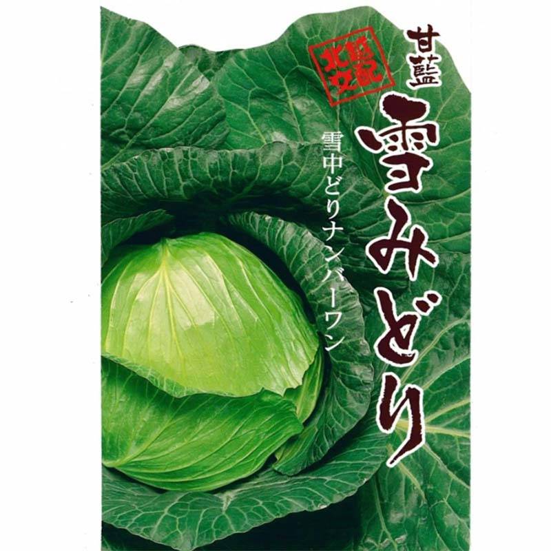 種子 1.0ml キャベツ 雪みどり 北越交配 栽培用 野菜タネ 野菜種子 野菜のタネ 甘藍 北越農事 D