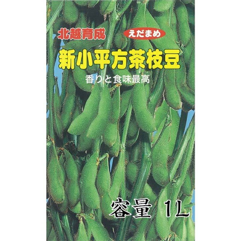 種子 1L 枝豆 新小平方茶豆 北越育成 栽培用 野菜タネ 野菜種子 野菜のタネ エダマメ 北越農事 D