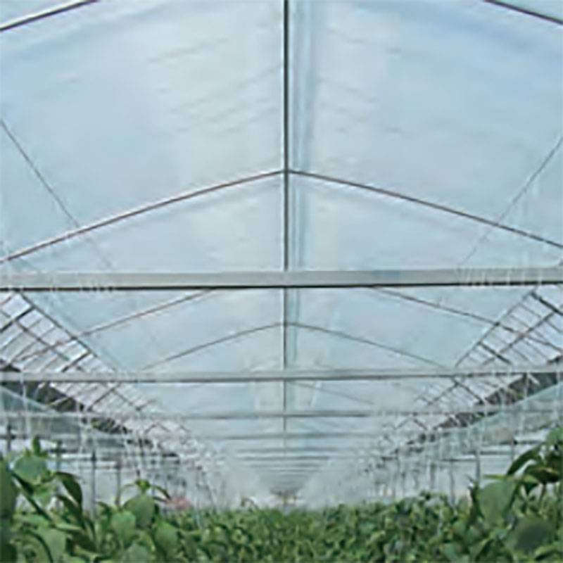 農POフィルム オカモト POクール 厚み0.1mm 幅200cm 長さ1m単位 農PO フィルム 塗布型遮熱 ハウス用 サT 個人宅配送不可 代引不可
