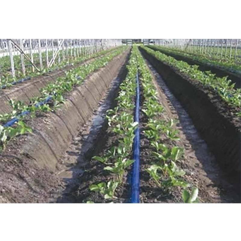 強力P.E 灌水チューブ 青 両面 レーザー 0.2mm×50mm×200m ピッチ30cm 孔径0.8mm 5巻 潅水 散水 水やり 農業 畑 カミプラス サT 個人宅配送不可 代引不可