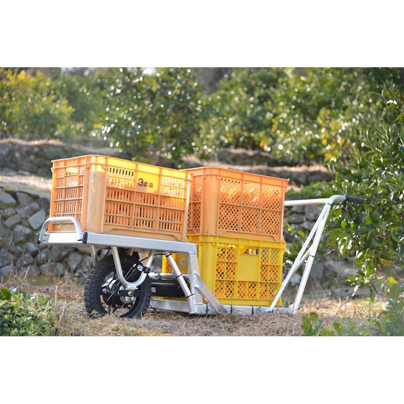 コンテナ用アルミ電動一輪車 バッテリー充電器なし AEC2-11 一輪車 電動化 キューボレックス CuboRex シB 北海道不可 代引不可