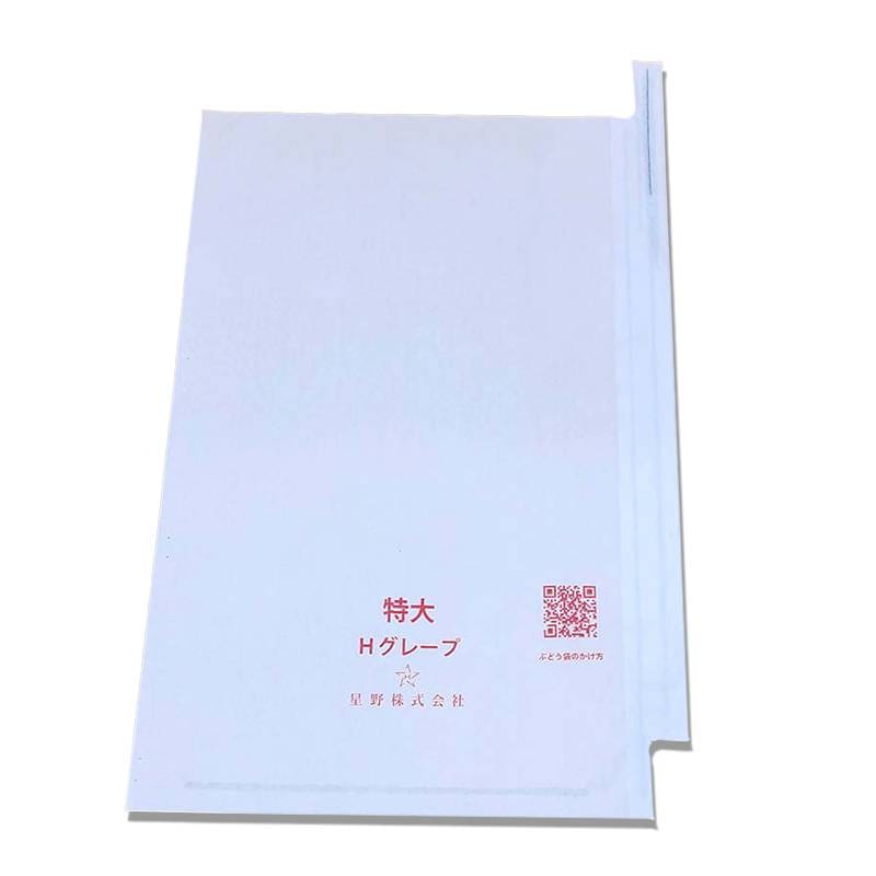 100枚 果実袋 特大 段有 Hグレープ 240×360mm 553609 4570123992422 露地栽培用 一般品種用 超大房サイズ ブドウ ぶどう用掛袋 星野 DZ