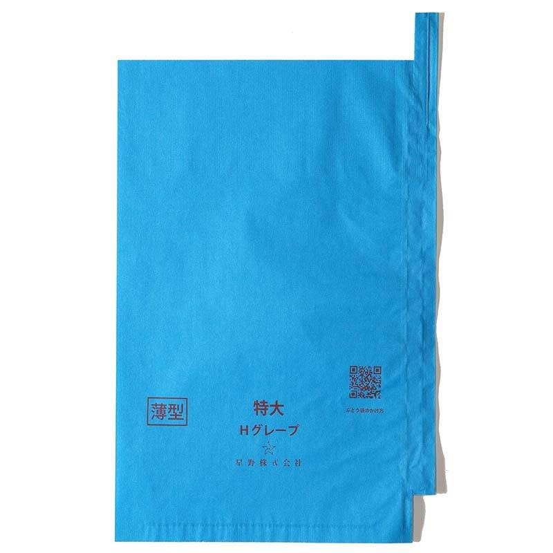 2000枚 果実袋 薄型ターコイズ特大 段有 Hグレープ 240×360mm 553673 4570123992880 シャインマスカット専用 ブドウ ぶどう用掛袋 星野 代引不可