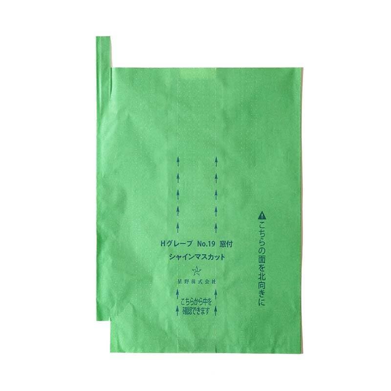 2000枚 果実袋 窓付きシャイン19号 緑 段有 Hグレープ 215×300mm 553825 4582259936546 ブドウ ぶどう用掛袋 星野 代引不可