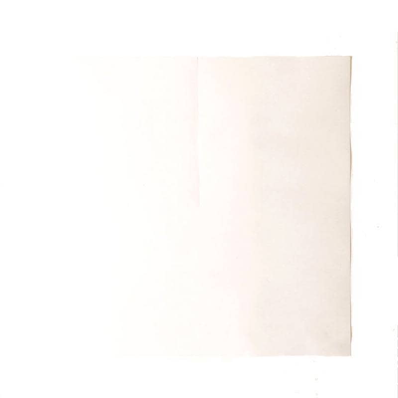 2500枚 270角 葡萄傘 白撥水傘 80g 厚手 553281 4570123992163 270×270mm ブドウ 蝋引き ぶどう用傘 星野 代引不可