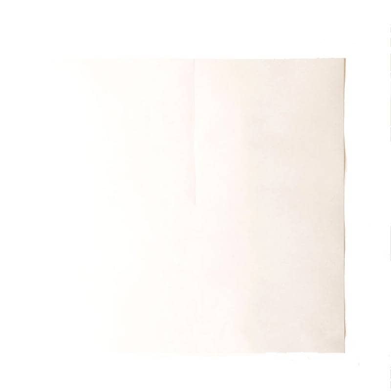 2500枚 300角 葡萄傘 白撥水傘 80g 厚手 553282 4570123992170 300×300mm ブドウ 蝋引き ぶどう用傘 星野 代引不可