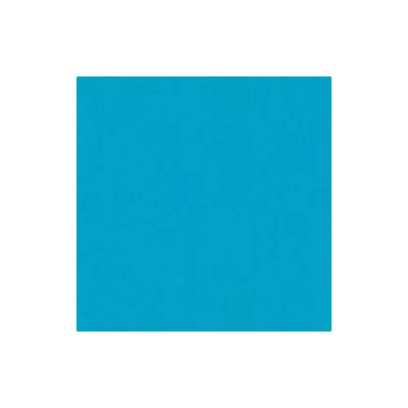 1000枚 300角 葡萄傘 ターコイズポリ傘 553141 4582259935808 300×300mm ブドウ ぶどう用傘 星野 代引不可