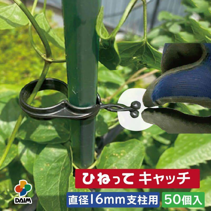 daim ひねってキャッチ16mm支柱用 50個入 結束 農業 園芸 誘引資材 クリップ 第一ビニール 金TD